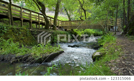 Bank of the river Lourido in the park of the fountain of Stanislaus 123315066