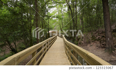 Wooden footbridge in Stanislaus fountain park 123315067