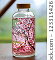 Cherry Blossom Bottle Flower World 123315426