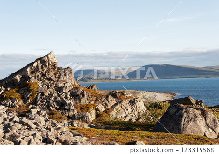 Rock at the seacoast, tundra summer landscape 123315568