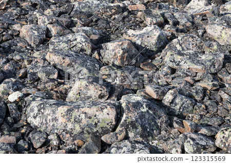 Texture of grey stones in tundra 123315569