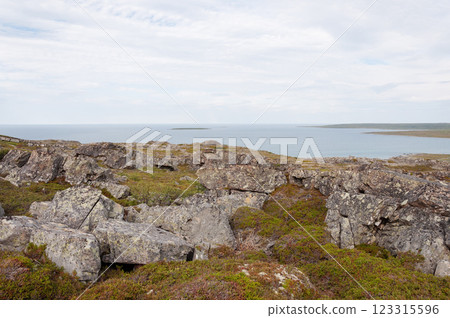 Rocks at the seacoast, Arctic landscape 123315596