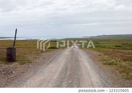 Gravel road along the seashore in tundra 123315605