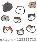 Various kinds of cats 123315713