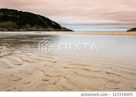 beach, coast, ocean 123316005