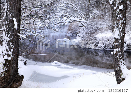 Snow scenery of Oku-Nikko... Kegon Falls, Senjogahara 123316137
