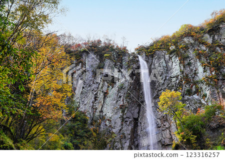 Yonago Falls in Autumn: Nagano's scenic spot enveloped in autumn leaves Yonago Falls in Autumn: Nagano's scenic spot enveloped in autumn leaves 123316257