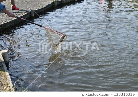人們在河裡釣魚 人們在河裡釣魚 123316339