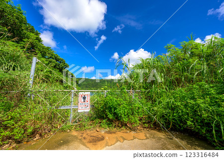 Ishigaki Island's hidden gem - A rural landscape enveloped in tranquility Ishigaki Island's hidden gem - A rural landscape enveloped in tranquility 123316484