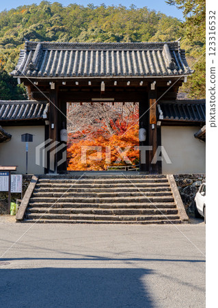 京都市左京區上倉町岩倉山實相院（岩倉御殿）山門的紅葉 123316532