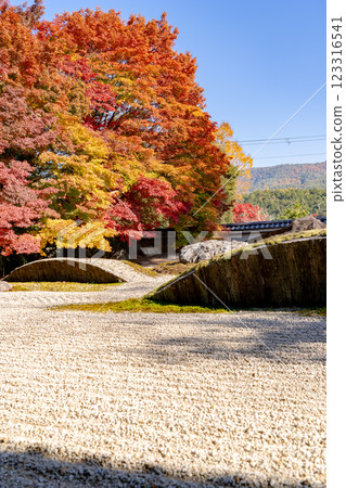 Iwakura-Kamikura-cho, Sakyo-ku, Kyoto City, Iwakurayama, Jisso-in Temple (Iwakura Palace), dry landscape garden, autumn leaves Iwakura-Kamikura-cho, Sakyo-ku, Kyoto City, Iwakurayama, Jisso-in Temple (Iwakura Palace), dry landscape garden, autumn leaves 123316541