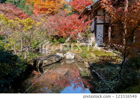 Iwakura Kamikuramachi, Sakyo Ward, Kyoto City, Iwakurayama, Jisso-in Temple (Iwakura Palace), pond garden, autumn leaves Iwakura Kamikuramachi, Sakyo Ward, Kyoto City, Iwakurayama, Jisso-in Temple (Iwakura Palace), pond garden, autumn leaves 123316549
