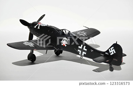 Fw190D-9, 1/72 scale model, Black Knight of Berlin 123316573