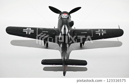 Fw190D-9, 1/72 scale model, Black Knight of Berlin 123316575