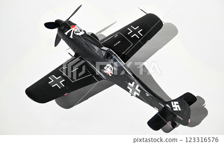 Fw190D-9，1/72比例模型，柏林黑騎士 123316576