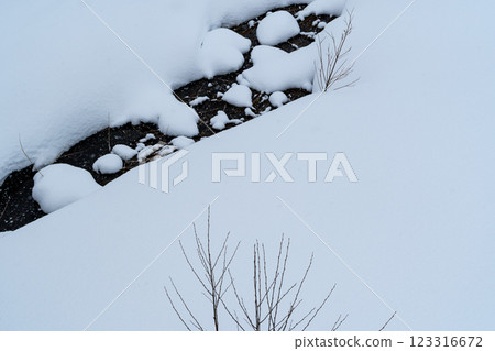Snow-covered riverbank and buried vegetation a-1 Snow-covered riverbank and buried vegetation a-1 123316672
