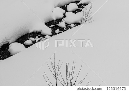 Snow-covered riverbank and buried vegetation a-2 monochrome 123316673