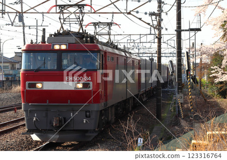 宇都宮線春季專用貨運列車:西濃交通Kangaroo Liner SS60(栃木縣內) 宇都宮線春季專用貨運列車:西濃交通Kangaroo Liner SS60(栃木縣內) 123316764