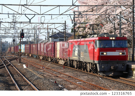 宇都宮線春季的貨運列車（由EH500系列機車牽引） 123316765