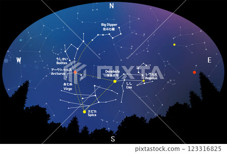 Spring constellations and the Great Triangle seen from the forest Spring constellations and the Great Triangle seen from the forest 123316825