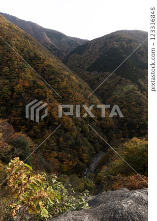秋天的山谷開始變色 秋天的山谷開始變色 123316848