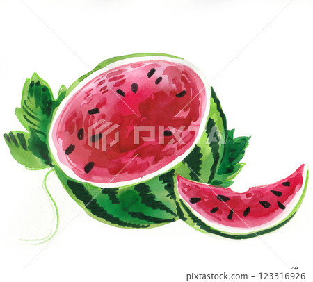 Watercolor watermelon.  Hand drawn watercolour illustration 123316926