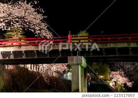 210408 Nakabashi Cherry Blossoms at Night g048 123317003
