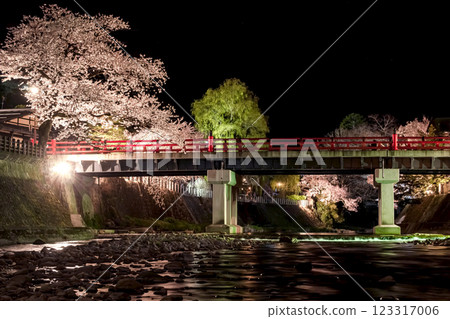 210408 中橋夜櫻 g065 123317006