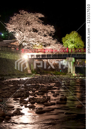 210408 Nakahashi Cherry Blossoms at Night g072 123317010