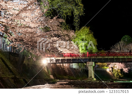 210408 Nakahashi Cherry Blossoms at Night g081 210408 Nakahashi Cherry Blossoms at Night g081 123317015