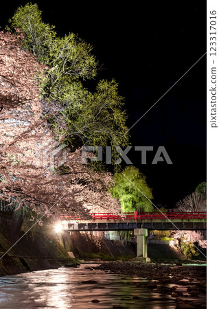 210408 中橋夜櫻 g082 210408 中橋夜櫻 g082 123317016
