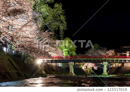 210408 中橋夜櫻 g085 210408 中橋夜櫻 g085 123317019