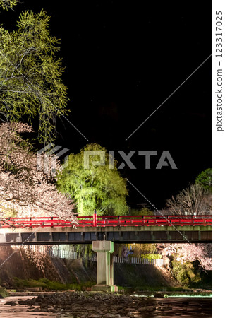 210408 中橋夜櫻 g104 210408 中橋夜櫻 g104 123317025