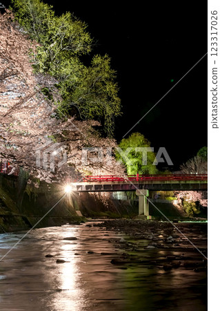 210408 中橋夜櫻 g105 210408 中橋夜櫻 g105 123317026