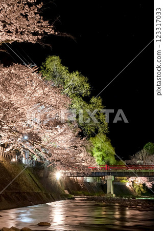 210408 Nakahashi Night Cherry Blossoms g121 210408 Nakahashi Night Cherry Blossoms g121 123317033