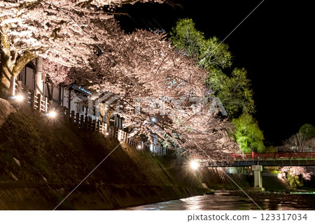 210408 Nakahashi Night Cherry Blossoms g123 210408 Nakahashi Night Cherry Blossoms g123 123317034