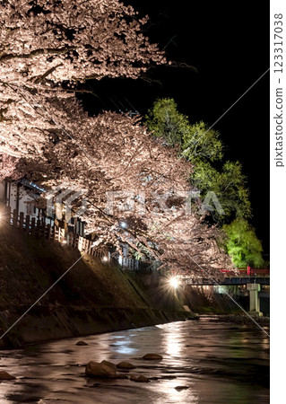 210408 中橋夜櫻 g137 210408 中橋夜櫻 g137 123317038