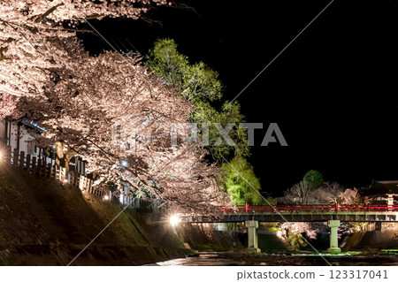 210408 中橋夜櫻 g145 210408 中橋夜櫻 g145 123317041