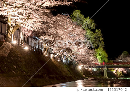 210408 中橋夜櫻 g147 210408 中橋夜櫻 g147 123317042