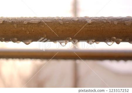 Clothesline on rainy day 123317252