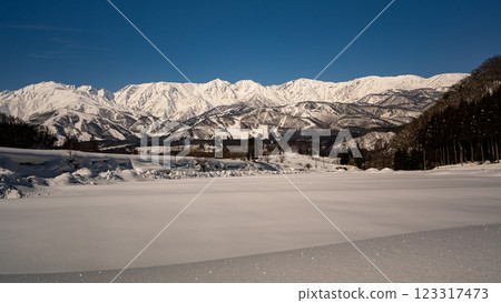長野縣白馬村晴朗的天空和白雪皚皚的北阿爾卑斯山 123317473