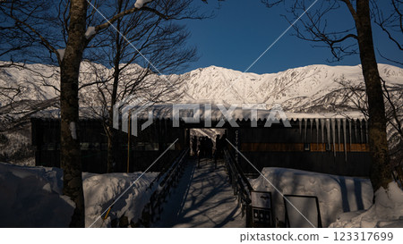 Hakuba Iwatake Snowfield Winter Activities Hakuba Village, Nagano Prefecture 123317699