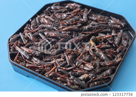 Sweetened locusts Insect food Sweetened locusts Insect food 123317756