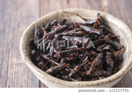 甜蝗蟲 昆蟲飼料 123317791