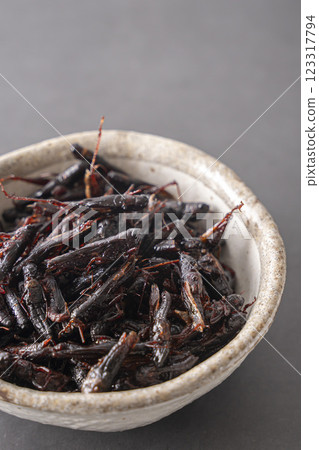 Sweetened locusts Insect food 123317794