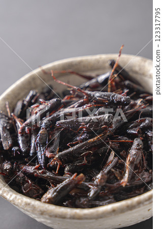 Sweetened locusts Insect food Sweetened locusts Insect food 123317795