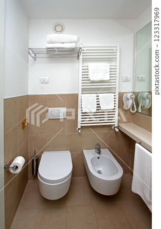 Modern toilet Modern toilet 123317969