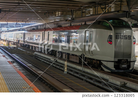 成田特快E259系列列車抵達新宿站 123318005