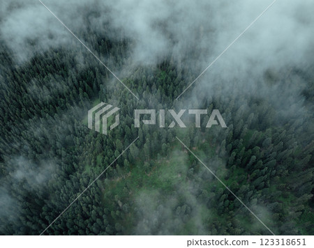 Aerial view of beautiful high altitude forest mountain landscape 123318651
