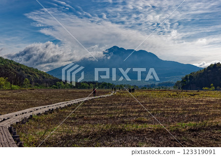 初夏時節,健行者穿過尾瀨之原,欣賞樋岳的美景 初夏時節,健行者穿過尾瀨之原,欣賞樋岳的美景 123319091